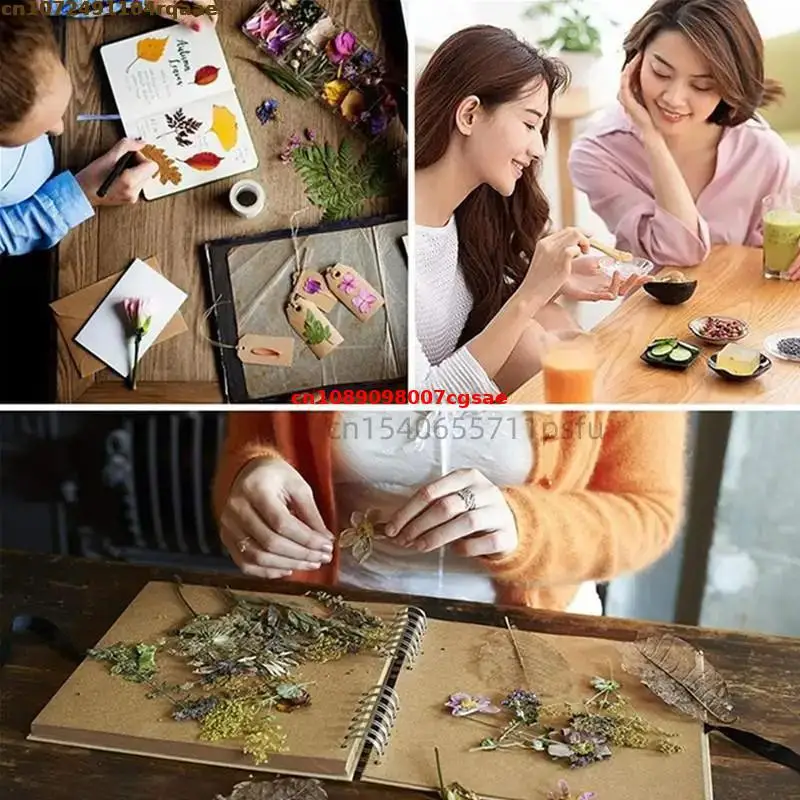 High Quality Natural Immortelle Dried Flower Helichrysum Bracteatum Mix Wedding Decoration Soap Candle Making Material
