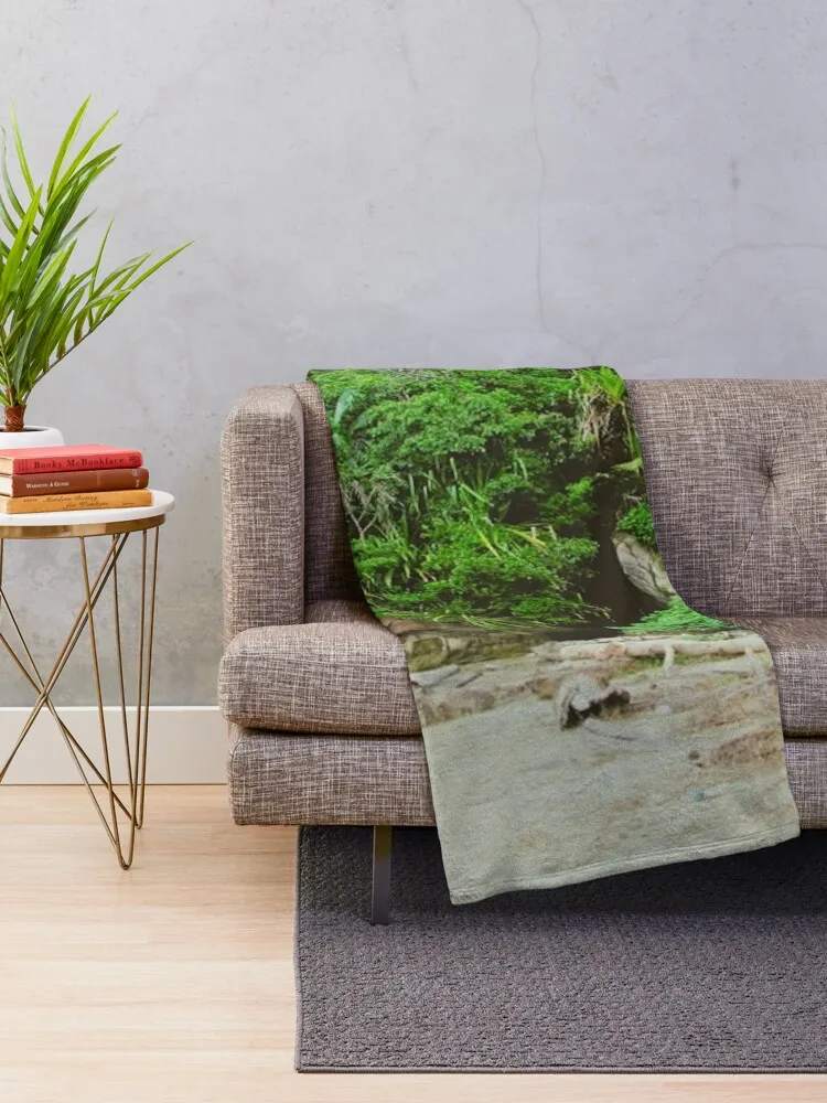 Бако Национальный парк София Малайзия Плед Одеяла Для Диванов Пляжные Волосы