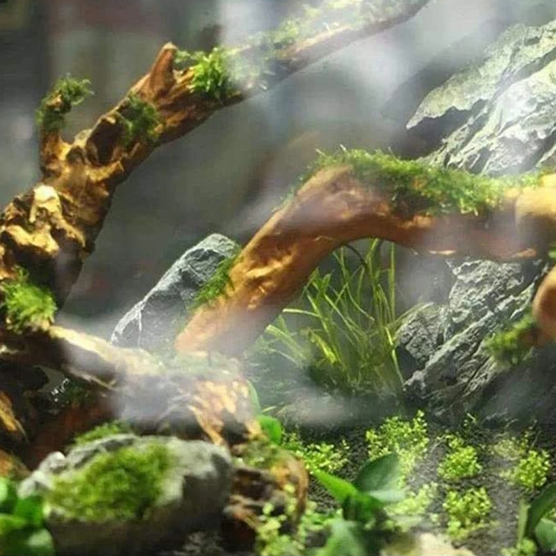 Большие натуральные ветки коряги рептилии украшение для аквариума аквариум