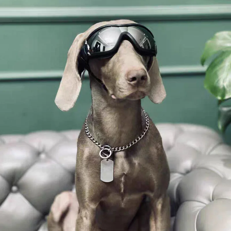 

Pet Glasses Model Photo Dog Sunglasses Wind and UV Protection Props Dog Tiktok Pets Accessories Motorcycle Tour Surf Fashion