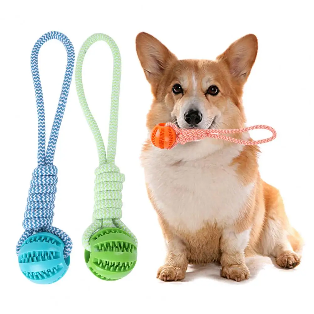 

Rubber Ball Dog Toy Rope Interactive Keep Teeth Clean Wear-resistant Bite-resistant Rope Knot Pet Toy Teddy Supply