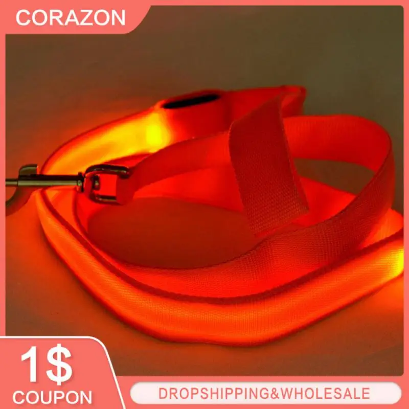 

Glowing Led Dog Leash Usb Rechargeable Pet Dog Flashing Nylon Webbing Leashes Anti-Lost Dog Light Harness Outdoor Dog Collar