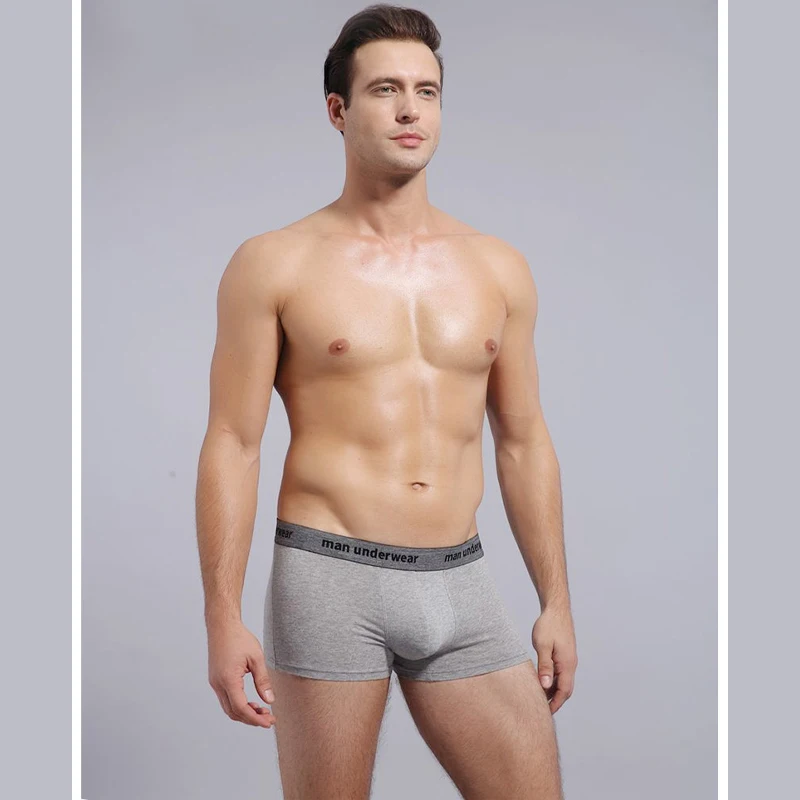 Men Boxers Shorts Men's Panties Underwear Man Underpants 4pcs Cotton Breathable Boxer Sexy Solid Loose Panties Boxershorts