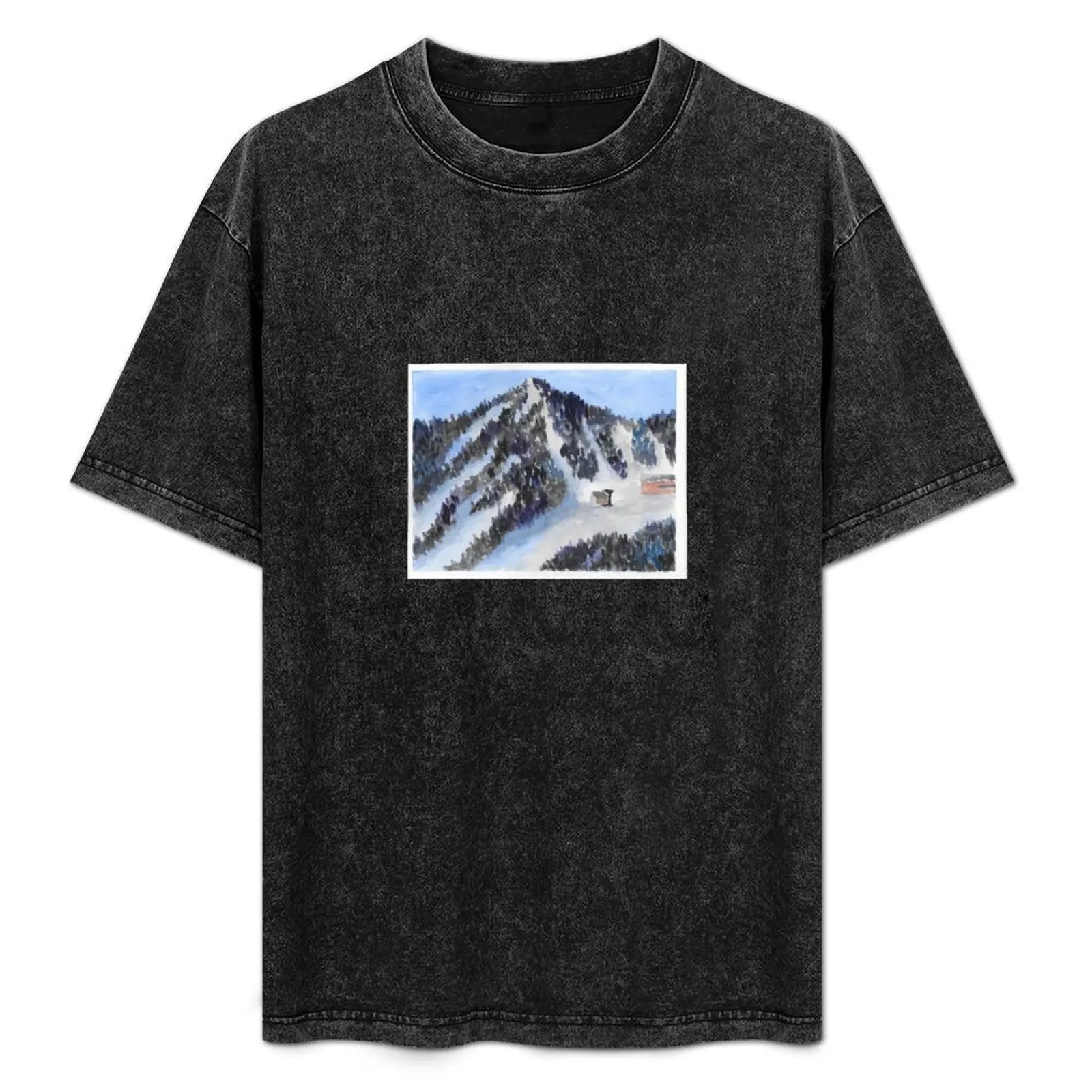 Фото Футболка Mount Washington для занятий спортом на открытом воздухе, легкая, для активного отдыха №1