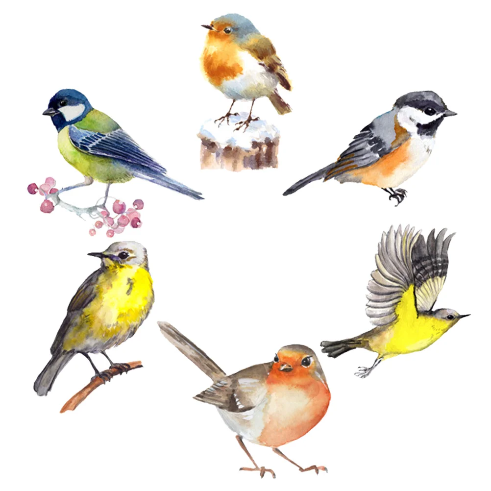 

Window Bird Decals Alert Stickers Collision Clings Anti Hummingbird Strikes Birds Prevents Decorative Wallpaper Non Static Wall