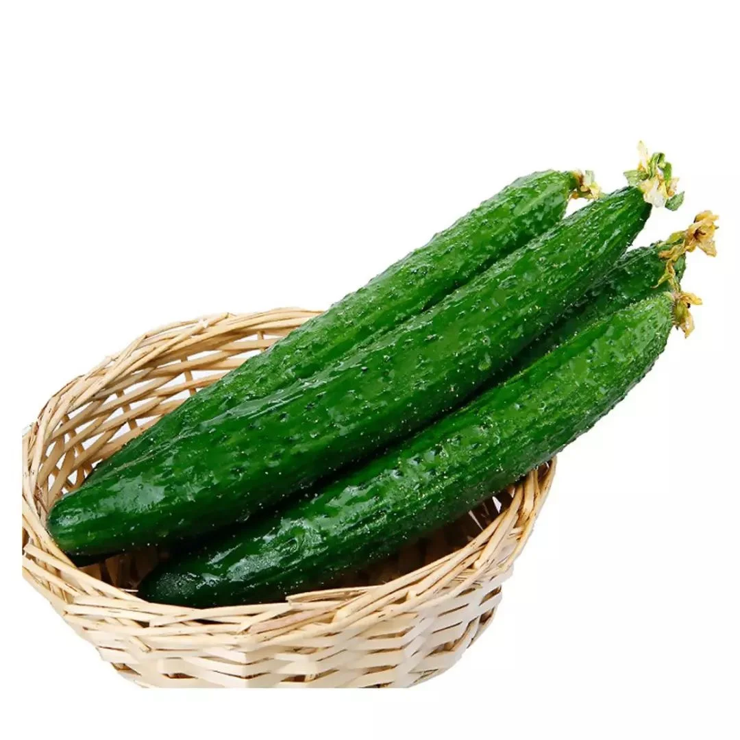 

Семена овощной клубники See-D.008