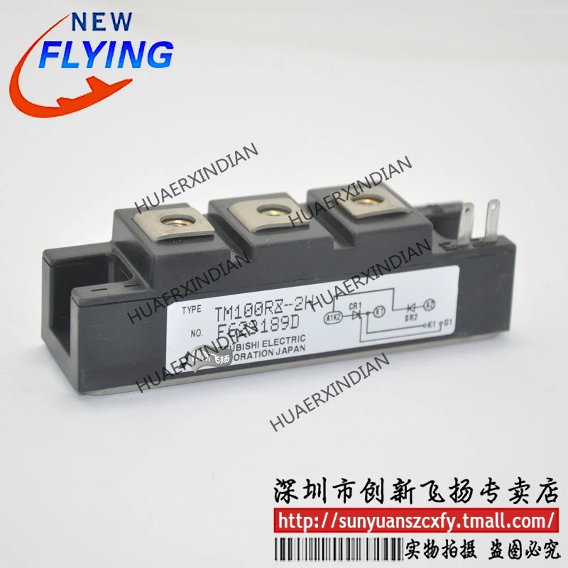 

Brand New Original TM100RZ-2H 100A-100V