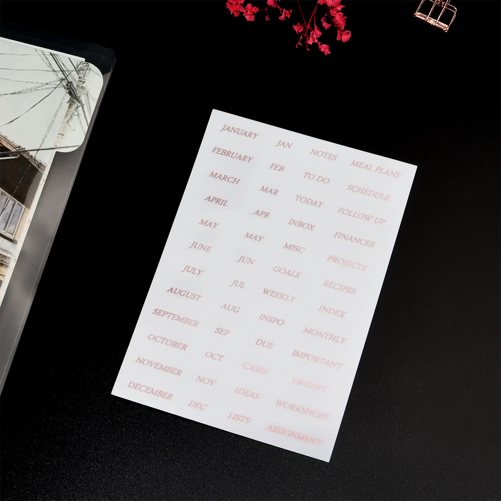 

Набор прозрачных стикеров Coliky "План месяца"