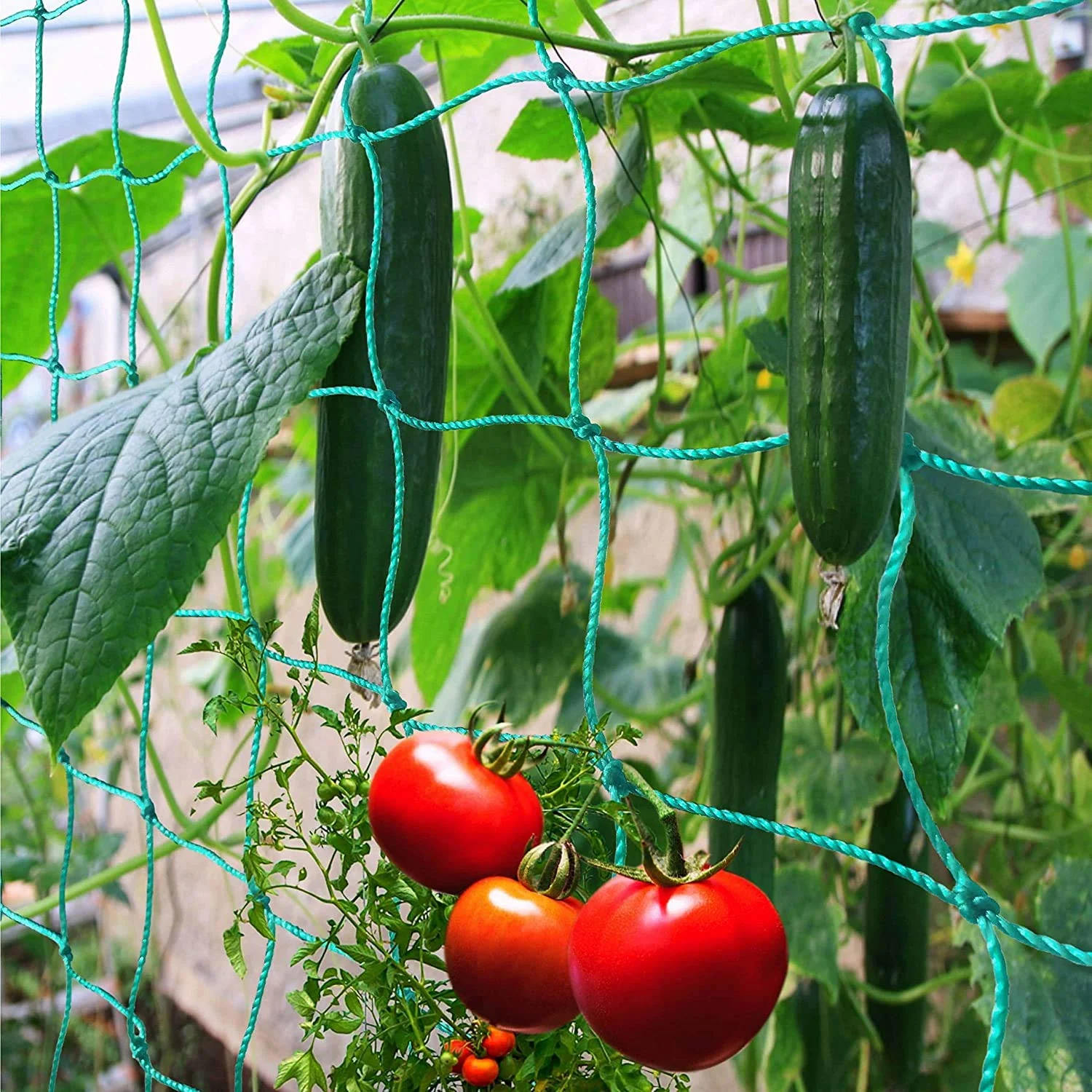 

Trellis Netting For Climbing Plants Trellis Netting for Cucumber Vine Fruits Vegetables Tomato Plants Trellis Net 3.3' x 6.6'Ft