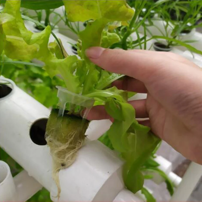 32*45mm Hydroponic Colonization Net Nursery Pot 45*55mm Mesh Plant Flower Grow Cup Basket Holder Garden Vegetable Planting Pots |