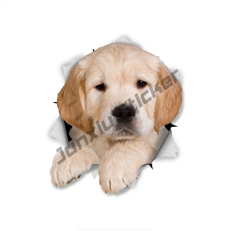 

Наклейка с изображением золотистого ретривера и Пупа, наклейка для мотоцикла, ноутбука, водонепроницаемая Наклейка на стену KK16 * 15 см