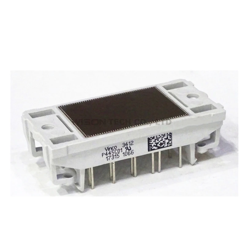 

P445C01 1/PCS NEW MODULE ORIGINAL