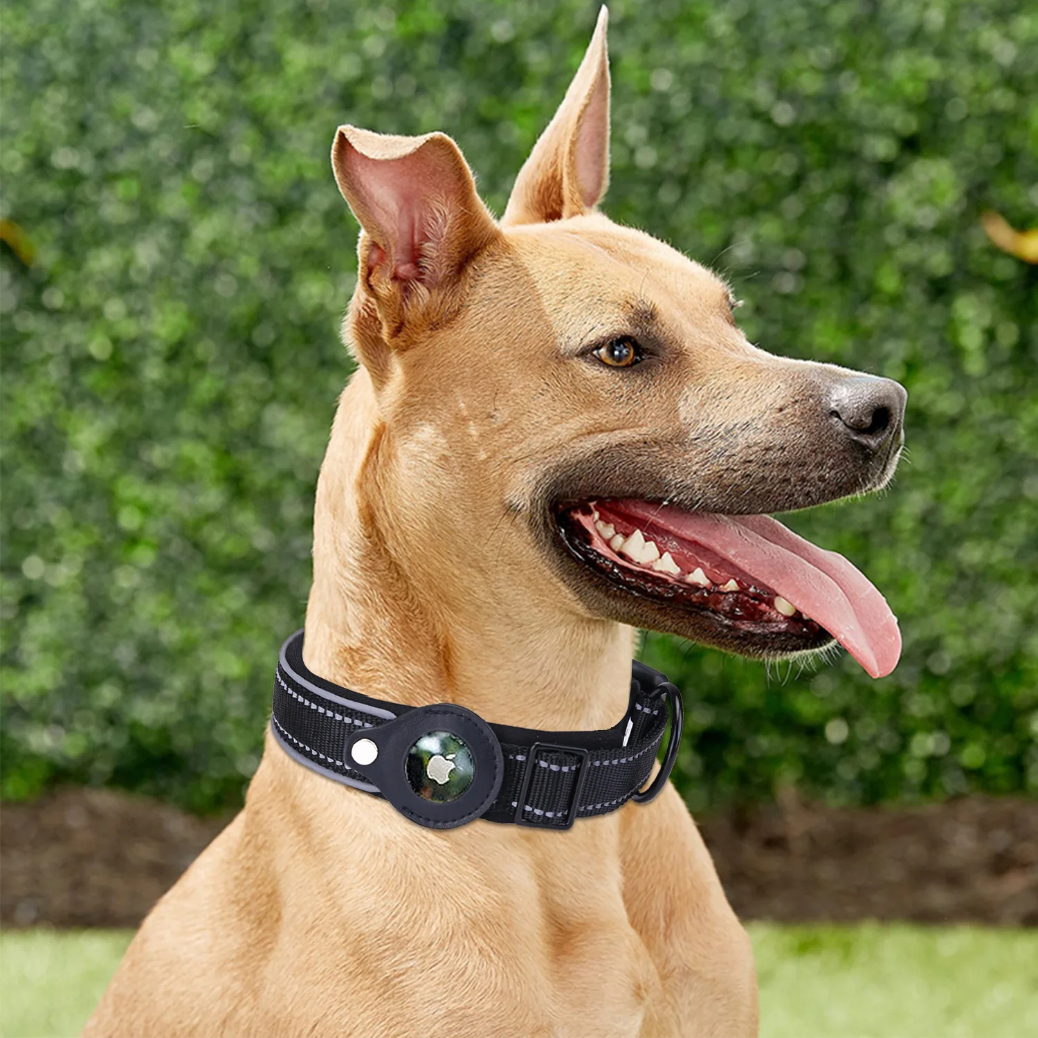

Suitable for Apple Airtag Tracker Collar Protective Sleeve for Small Medium Dog Positioning Training Collar Nylon Pet Supplies