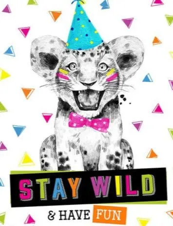 

Вечерние ринка животных вечерние ринка Милая металлическая фотография кафе бар клуб