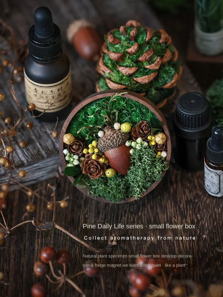 

Ароматический диффузор для ароматерапии, растений