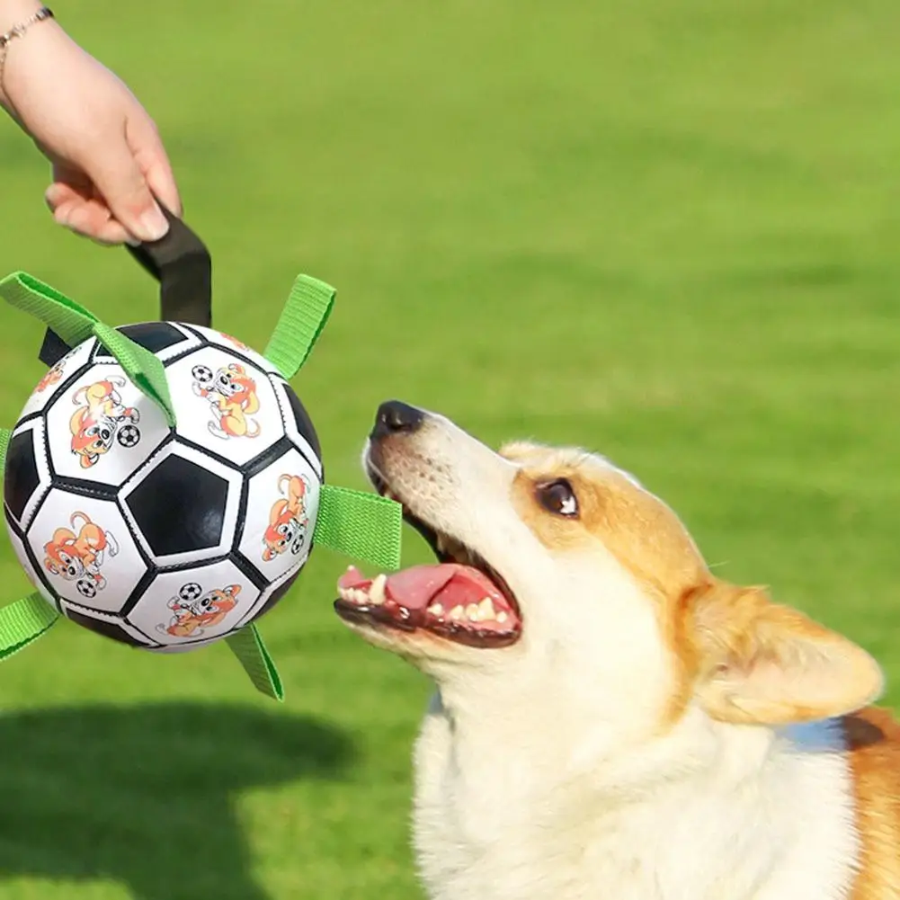 

Pet Football Toys Multi-functional Bite-resistant Dog Outdoor Interactive Training Toys Chew Toy
