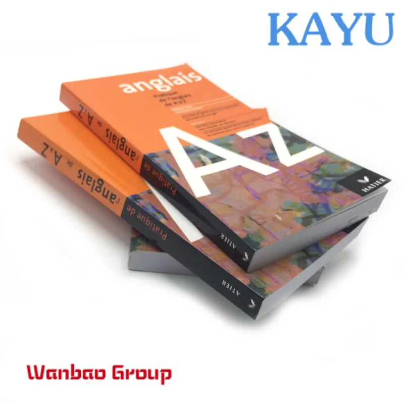 Рисунок 2 - Служба индивидуальной печати