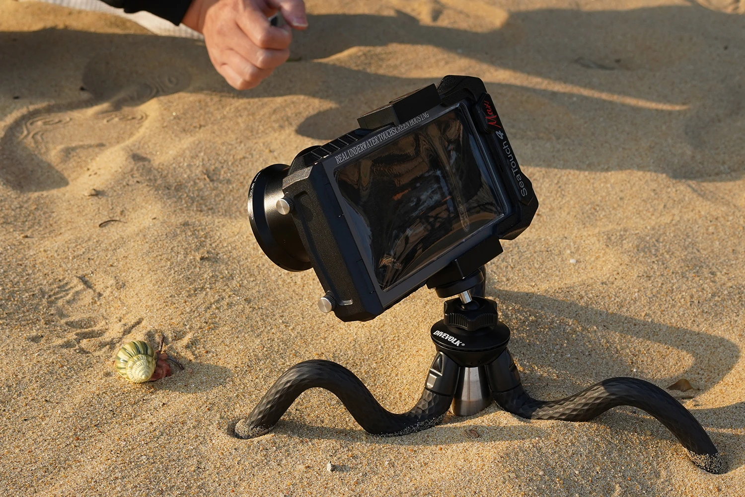 Полеты по россии. Что ждать в 2024. Формула 1 россия. Формула 1 россия. Что ждать в 2024.