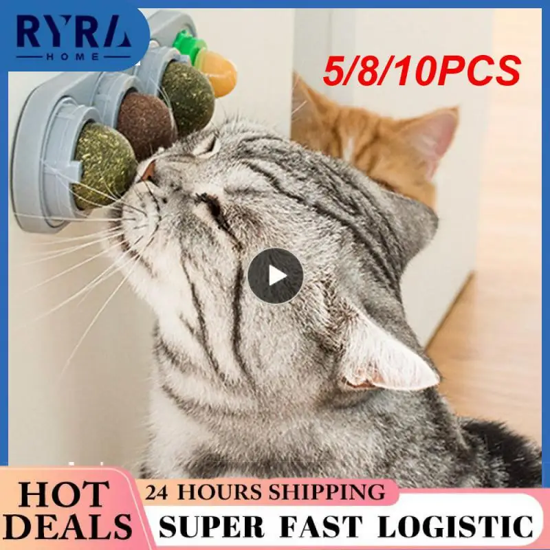 

5/8/10 шт., Пластиковые Мячи для питомцев