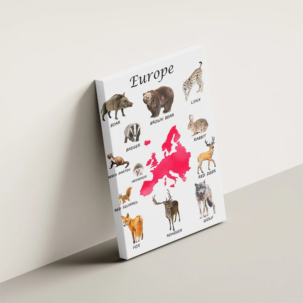 Плакат Южной Америки Антарктика животные принты холст картина декор для