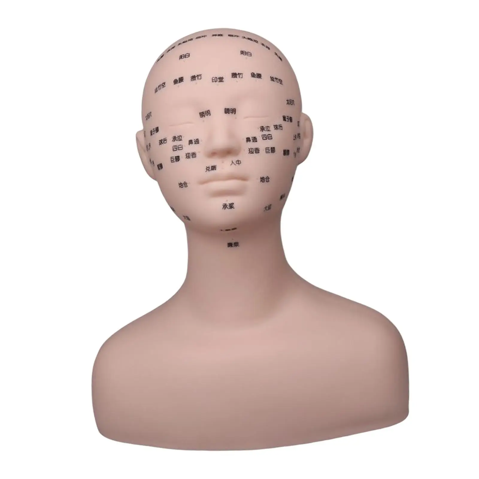 

Practice Training Mannequin Multifunction for Massage Home Skin Color