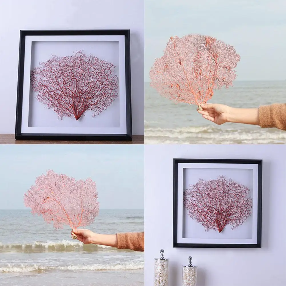 Натуральный ракушка красная морская ива железная подводная лодка украшение