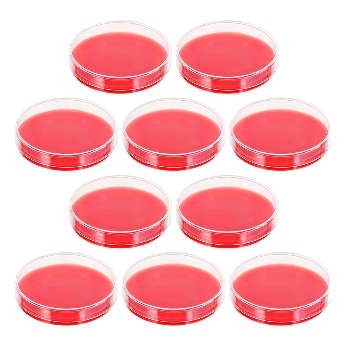 

10Pcs Agar Plates Blood Agar Petri Dishes for Biological Laboratory Equipment School Science Projects