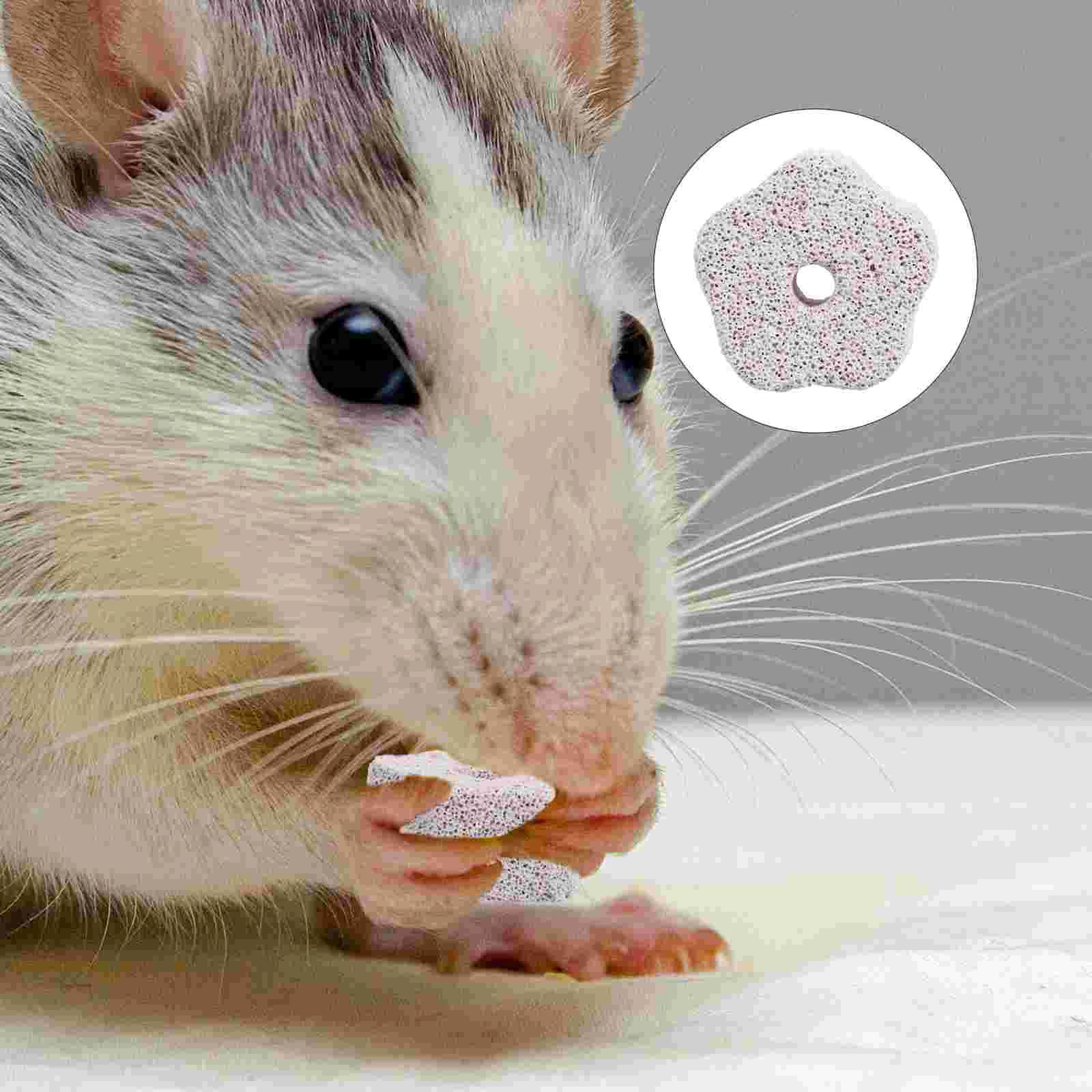 

12 Pcs Parrot Molar Stone Guinea Toys Teething Lava Treats Hamster Bites Block Chinchillas Rabbit Small Animal Chew