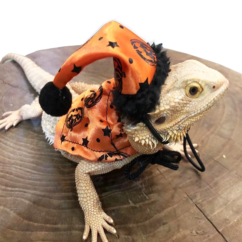 Lizard Cloak Hat Set With Leash Adjustable Elastic Band Reptiles Halloween Costume Dress Up Clothes Hamster Guinea Pig Pet Items