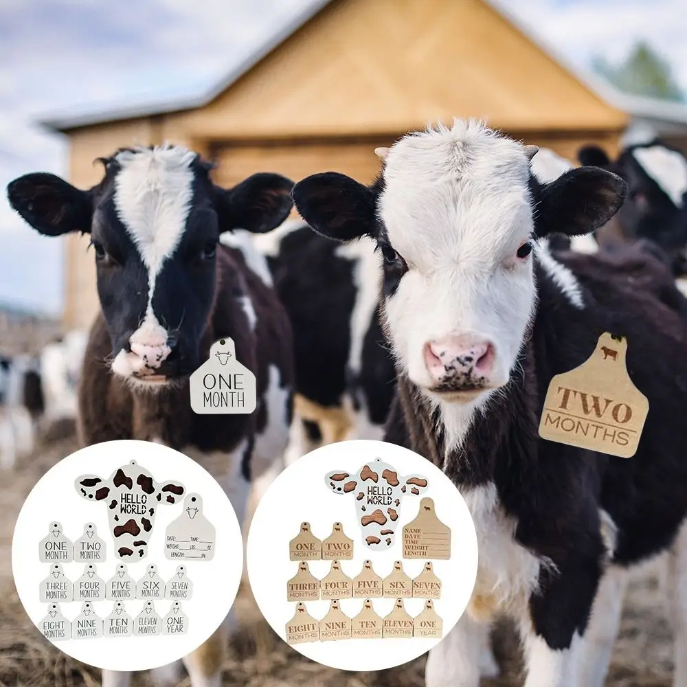 

14 шт., деревянные маркеры для новорожденных, в стиле коровы