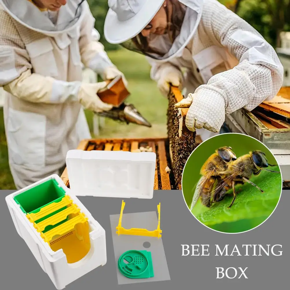 

New Model Mini Nucs Wholesale Complete Mini Mating Beehive Frames Plastic Beekeeping With Feeder Removable Box Pollination X2f3