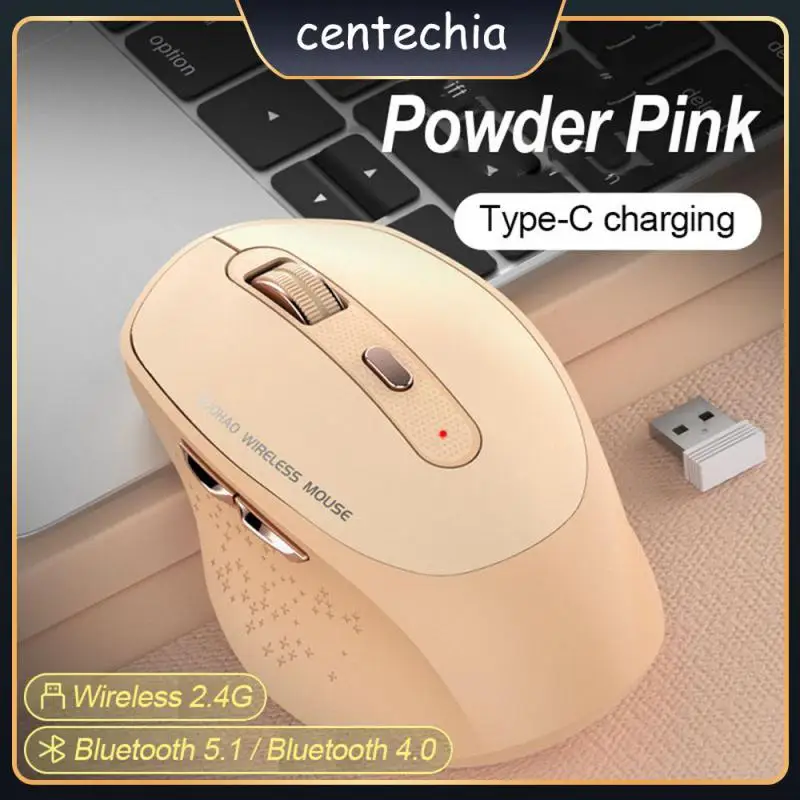 

2.4g Mute Button Gaming Charging Mouse Noise Reduced Third Mock Examination Mouse Removable Lithium Battery 3.0/5.0