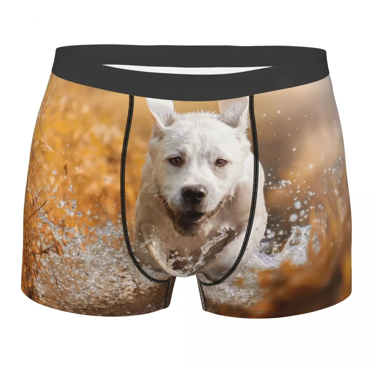 

Boxer Men Underpants Labrador Retriever Dog River In Autumn Men's Panties Shorts Breathable Mens Underwear Briefs Sexy Boxers