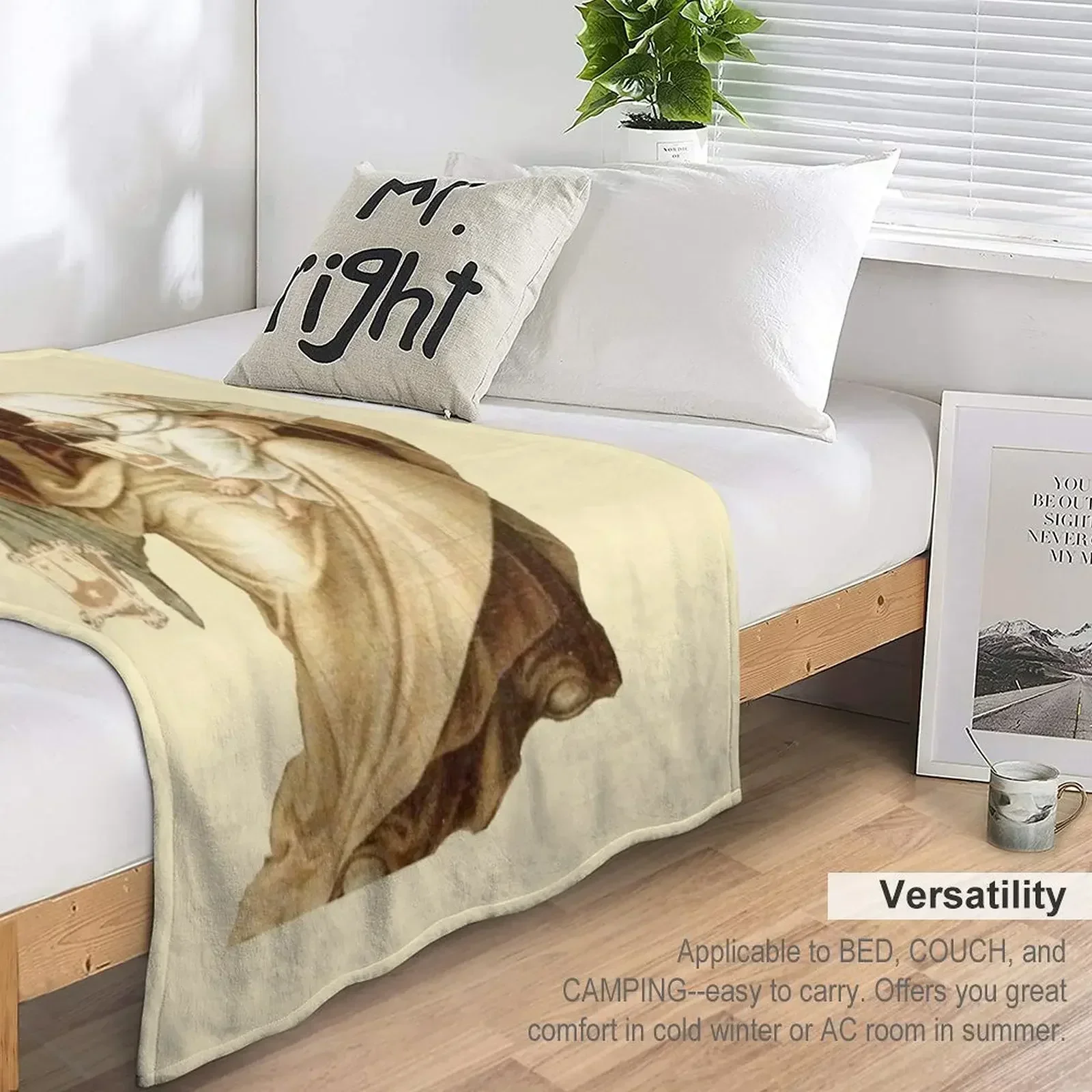 Одеяло Our Lady of Mount Carmel 2 многофункциональное теплое зимнее тонкое модное одеяло