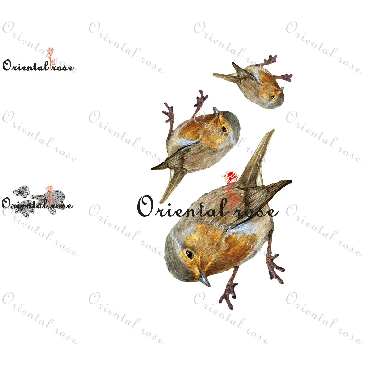 

Bird series metal cutting die scrapbook new 2022 cutting die