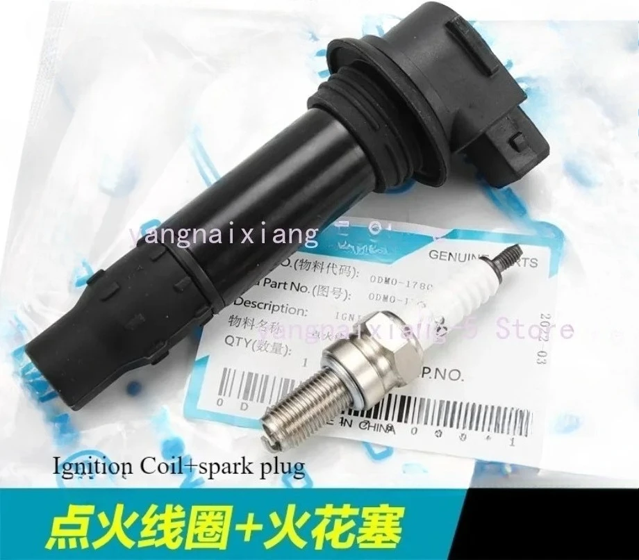 

Катушка зажигания мотоцикла для CFMOTO 250NK 250NK SR CLX CLC оригинал 0DM0-178000 250 SR NK 250CL-X