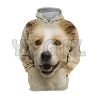 animals dogs border collie puppy 3d printed hoodies unisex pullovers funny dog hoodie casual street tracksuit