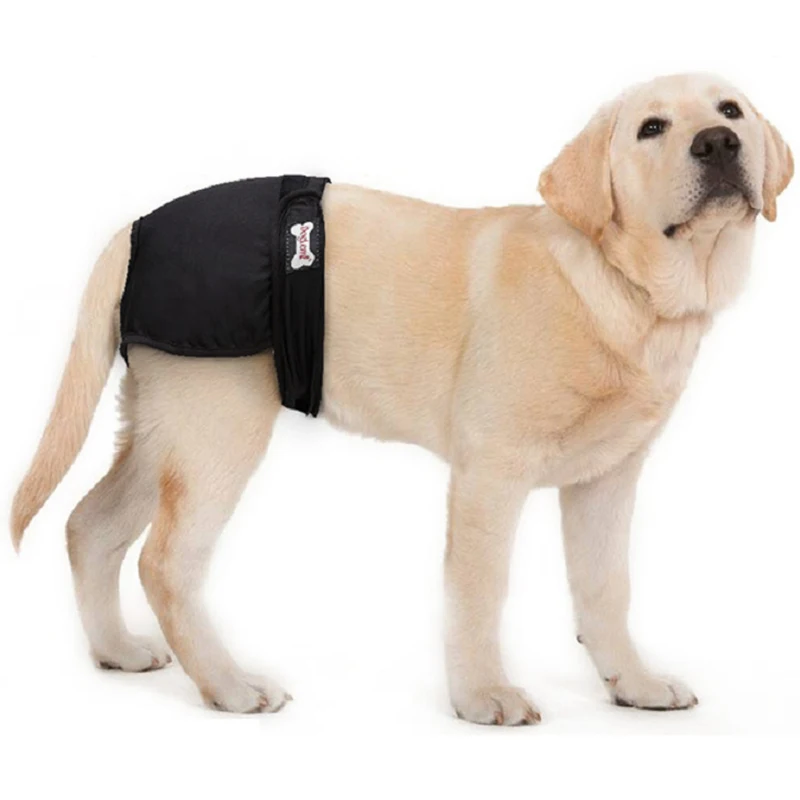 

Physiological Pant Absorbent Cat Panties Washable Bitch Puppy Women'S Shorts Physiological Diapers For Female Dogs Pet Products