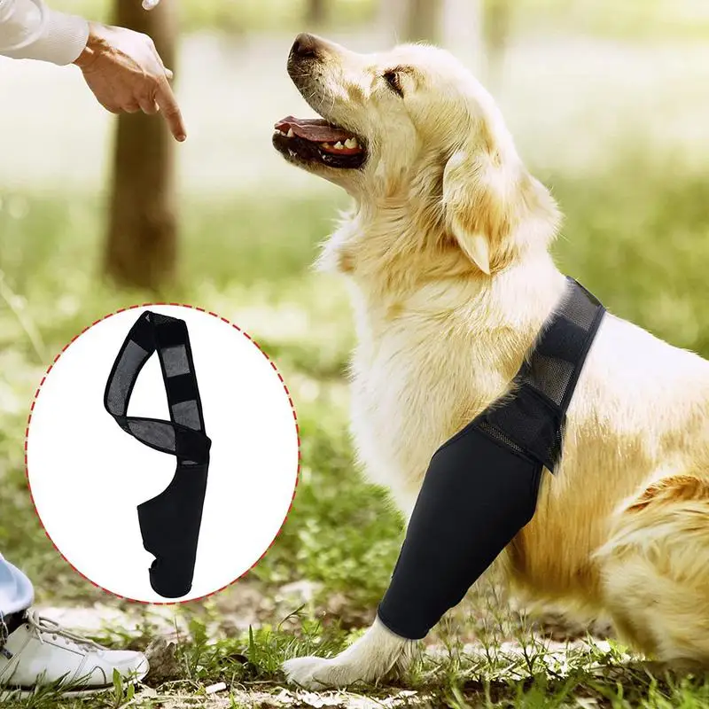

Бандаж на колено для собак, эластичная повязка на колено, защита суставов щенков, аксессуары для собак