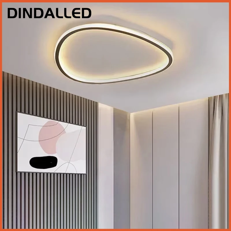 Фото Современный светодиодный потолочный светильник DINDALLED для гостиной, столовой, спальни, балкона, потолочная люстра, светильник для внутреннего освещения №3
