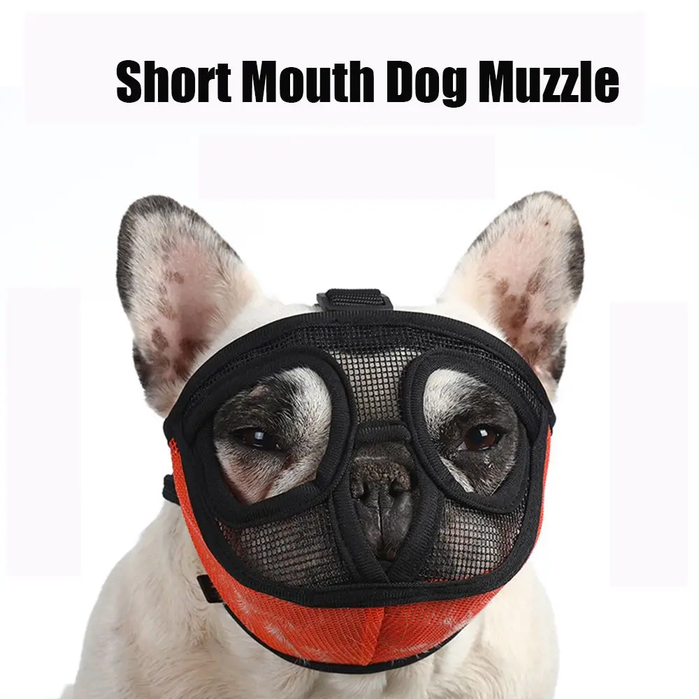 

Kitten Unobscured Can Drink Water Pet Supplies Anti-Eating Short Mouth Dog Muzzle Anti-Bite Bulldog Mouth Cover