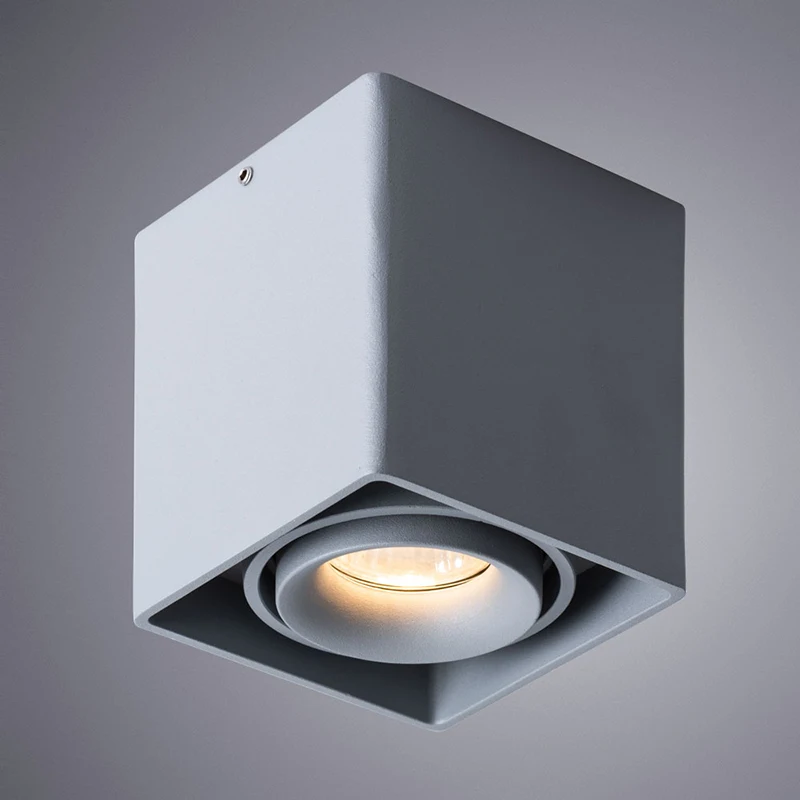 Светильник Arte Lamp PICTOR A5654PL-1GY |