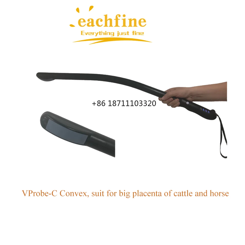 Беспроводной выпуклый массив/линейный трансректальный ветеринарный тест на