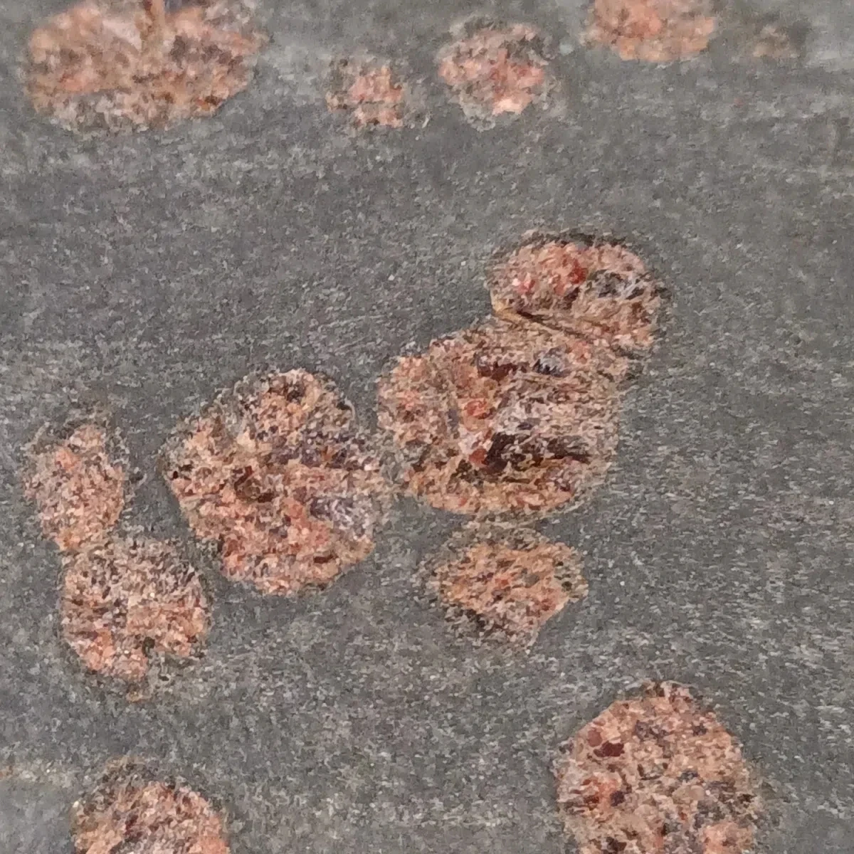 Rare Meteorite Varieties Olive Meteorite Primitive Stone Micro Magnetic Melting Shell Gas Imprint Sulfur Odor