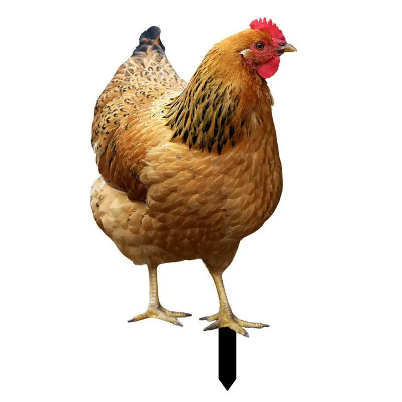 

Chicken Garden Decor Hen Chicken Acrylic Sculpture Realistic Chicken Sculptures For Farm Garden Patio Lawn Yard Decorations