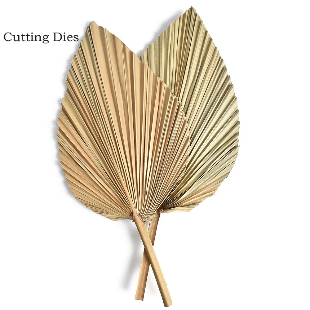 2PCS Dried Natural Flowers Palm Leaves Dry Palm Fan Window Reception Party Art Wall Hanging Decoration Wedding Arch