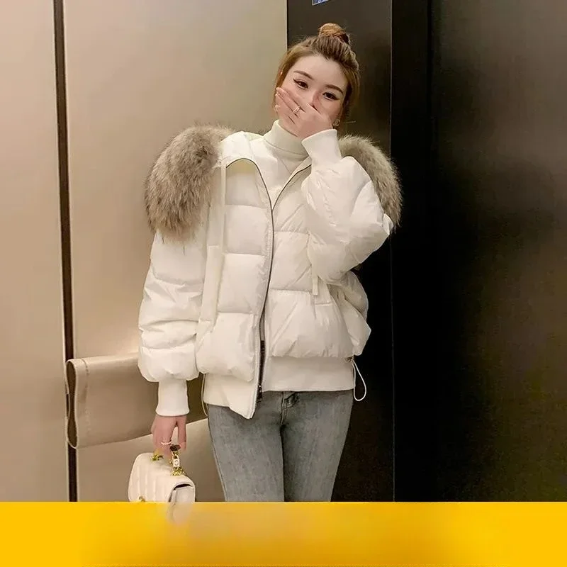 Женский пуховик с большим меховым воротником енота короткая зимняя куртка 2024