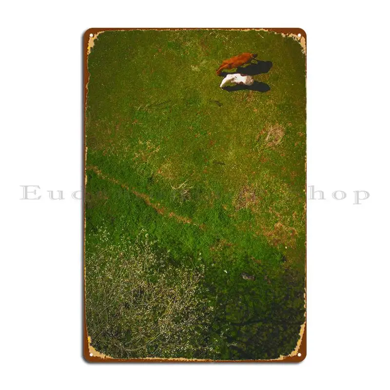 

World From Above Metal Sign Funny Wall Decor Plaques Design Wall Mural Tin Sign Poster