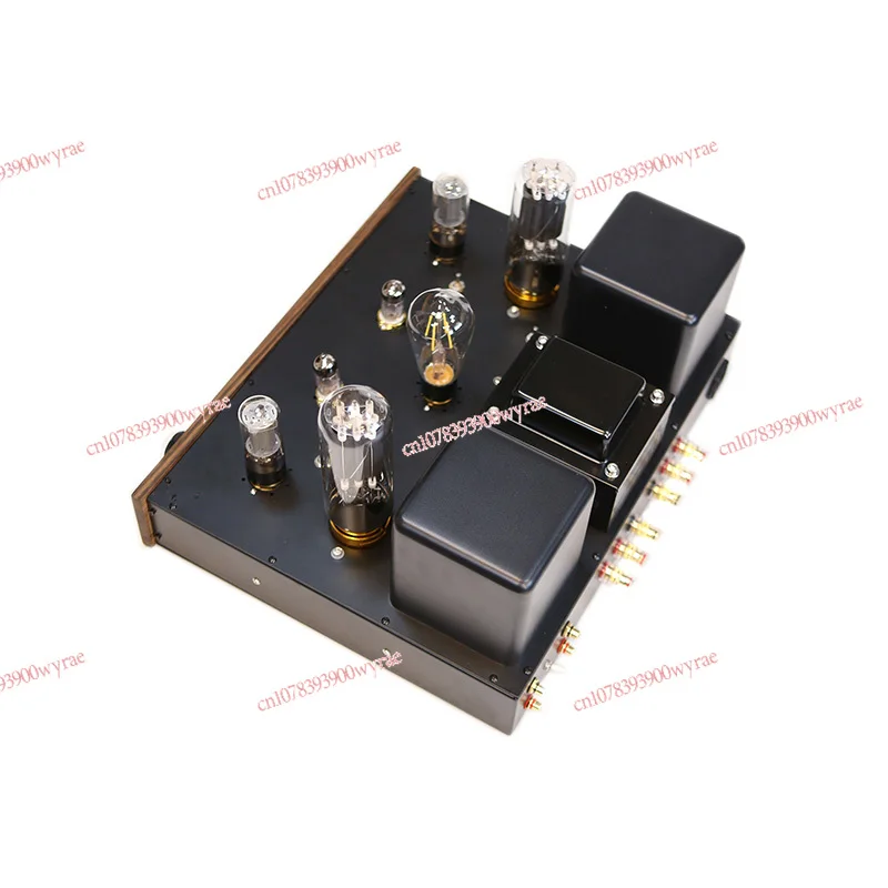Высокомощный ламповый усилитель 805A Gallbladder 45WX2
