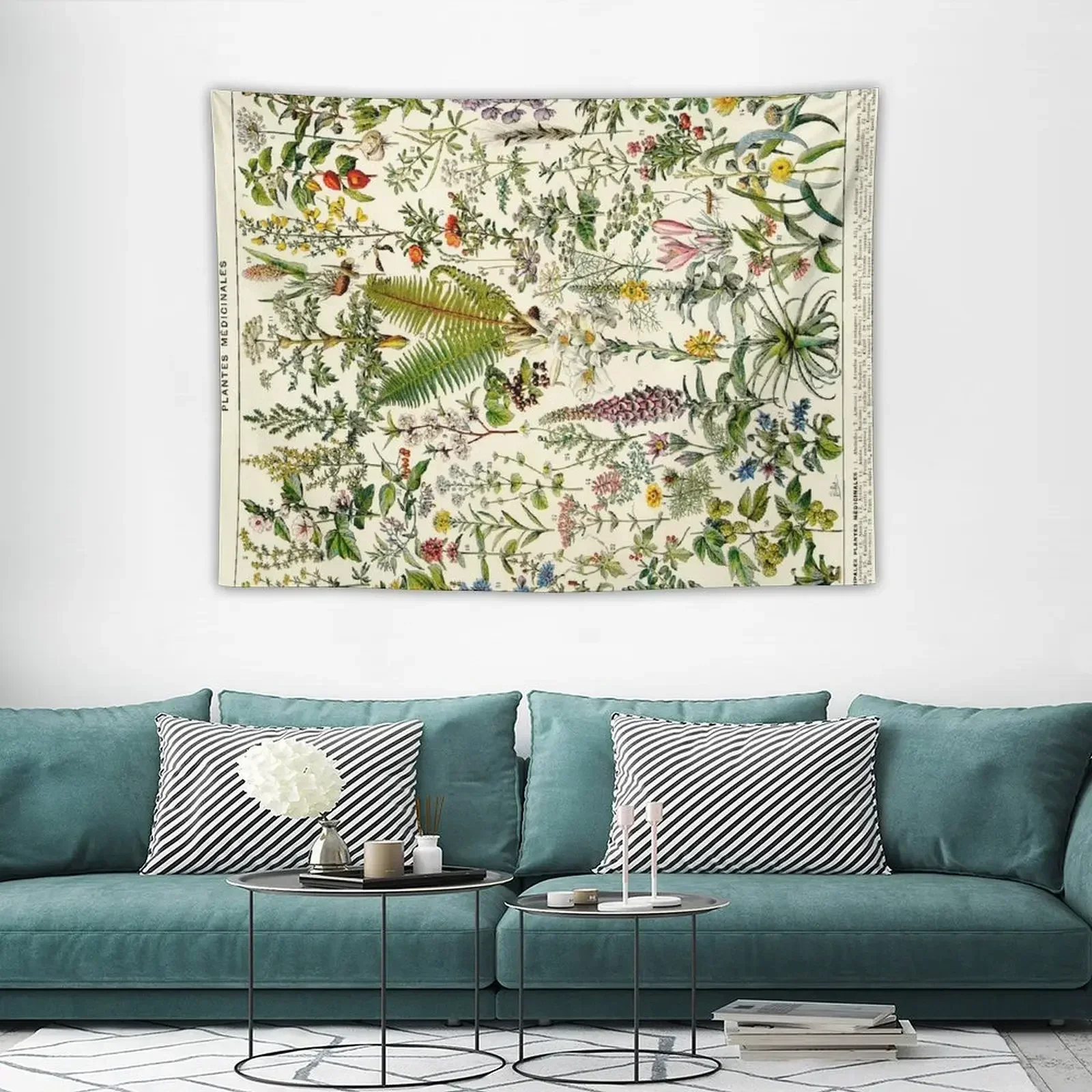 Адольф миллот лекарственные растения винтажная научная иллюстрация larcase